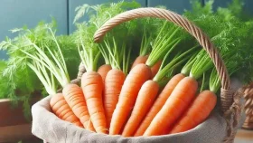 চোখের সমস্যায় টনিকের মতো কাজ করে গাজর