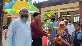 বিনামূল্যে এক হাজার চারা বিতরণ সাইফুল প্রযুক্তি নার্সারির