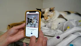 পোষা প্রাণীদের জন্য স্মার্টফোন ‘পেটফোন’!