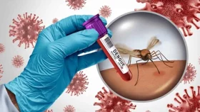 ডেঙ্গু টিকা কেন ব্যবহার করছে না বাংলাদেশ