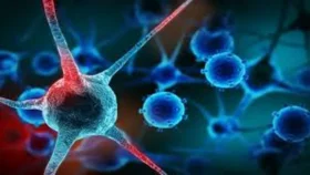 যেসব কারণে বাড়ে ক্যান্সারের ঝুঁকি