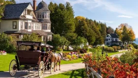 গাড়িশূন্য মাকিনাক দ্বীপে ঘোড়ার রাজত্ব !