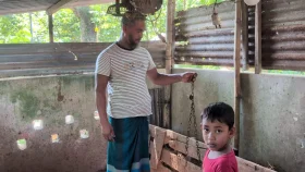 ভৈরবে ৩ কৃষকের গোয়াল থেকে তালা ভেঙে গরু চুরি 