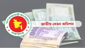 বেসরকারি চাকরিজীবীদের বেতন কাঠামো নিয়েও প্রস্তাবনা যাচ্ছে কমিশনে