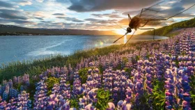 যে দেশের ইতিহাসে প্রথমবার শনাক্ত হলো মশা