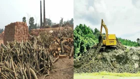 নাইক্ষ্যংছড়িতে পাহাড় কেটে গড়ে উঠেছে অবৈধ ইটভাটা