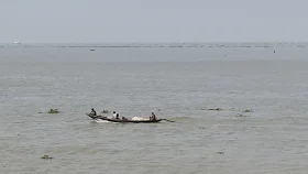 মেঘনায় বাল্কহেডের ধাক্কায় ট্রলার ডুবি, নিখোঁজ ১ 