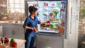 শীতের শুরুতে ফ্রিজের তাপমাত্রা কত রাখবেন