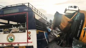 ভারতের তেলেঙ্গানায় বাস-ট্রাক সংঘর্ষে নিহত ১৯