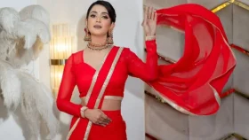 শাড়ি নিয়ে প্রতারণা, গ্রেফতার হতে পারেন তিশা