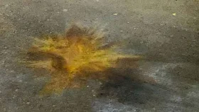 ফার্মগেটে বোমা বিস্ফোরণ, একজনকে ধরলেন যুবদল নেতা