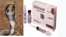 সাপের বিষের প্রতিষেধক ‘অ্যান্টিভেনম’ উপজেলা হাসপাতালে পাঠানোর নির্দেশ