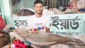 জেলের জালে ধরা পড়লো ২১ কেজির ‘ব্ল্যাক ডায়মন্ড’ 