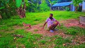 গরু-ছাগলের দেখাশোনায় দিনমজুরের শিয়াল পালন