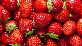 যে কারণে শীতকালে স্ট্রবেরি খাবেন