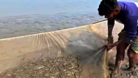 ‘খরছি’ জালে হুমকিতে মৎস্য সম্পদ