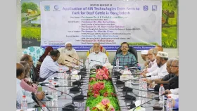 বাকৃবিতে গরুর গোশত উৎপাদনে চতুর্থ শিল্পবিপ্লব প্রযুক্তি বিষয়ক কর্মশালা 