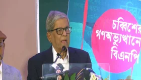 গণতন্ত্র শুধু ভোটের দিন নয়, প্রতিদিন রক্ষা করতে হয়: মির্জা ফখরুল