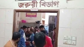 ঠাকুরগাঁওয়ে মাইক্রোবাস-নসিমনের সংঘর্ষ, আহত ৯ 