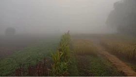 পঞ্চগড়ে জেঁকে বসেছে শীত, বাড়ছে শীতজনিত রোগ