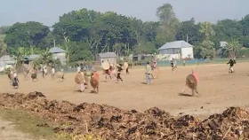 সালথায় দুই পক্ষের সংঘর্ষ, আহত ১০০