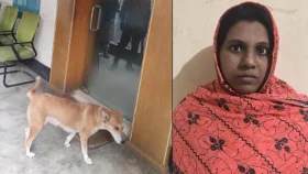আট কুকুরছানা হত্যার অভিযোগে সেই নারী গ্রেপ্তার