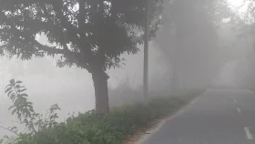 তেঁতুলিয়ায় ঘন কুয়াশায় শীতের দাপট, তাপমাত্রা ১২ ডিগ্রিতে
