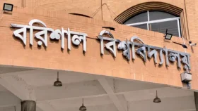 রাত পোহালেই ববি ছাত্রদলের তিন পদে নির্বাচন 