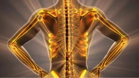 হাড় শক্তিশালী করবে যেসব খাবার