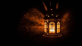 নবীজি ৪ সূরা না পড়ে ঘুমাতেন না