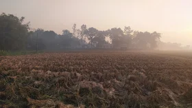 পঞ্চগড়ে জেঁকে বসেছে শীত, আজও ১০ ডিগ্রির ঘরে তাপমাত্রা