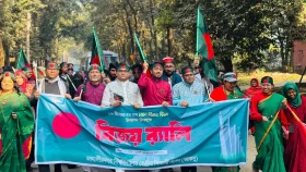 জাবিতে রঙে-র&zwj;্যালিতে বিজয় দিবস উদযাপন