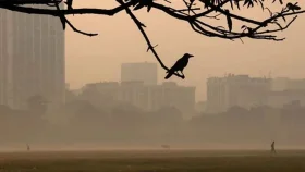 ঢাকায় জেঁকে বসেছে শীত, তাপমাত্রা ১৫ ডিগ্রিতে