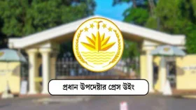 রাজবাড়ীতে গণপিটুনিতে নিহতের ঘটনা সাম্প্রদায়িক হামলা নয়