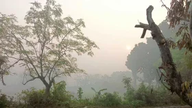 হালকা থেকে মাঝারি ধরনের কুয়াশার আভাস