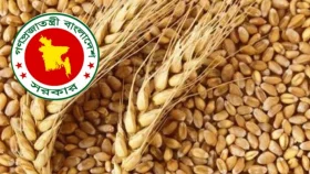 আরও ৫৭ হাজার টন গম এলো যুক্তরাষ্ট্র থেকে