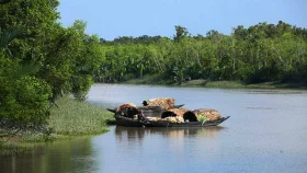 সুন্দরবনের অভয়ারণ্যে মাছ শিকার, ৩৫ জেলে আটক