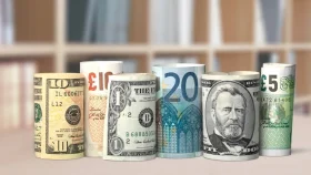 জানুয়ারির ২৫ দিনেই এলো ২৬২ কোটি ডলার রেমিট্যান্স