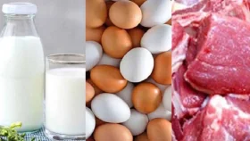 রমজানে যে দামে মাংস-দুধ-ডিম বিক্রি করবে সরকার