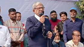 ৭১ আমাদের দেশ দিয়েছে, ভবিষ্যৎ দিয়েছে: মির্জা ফখরুল