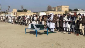 পাকিস্তানে নিরাপত্তা বাহিনীর অভিযানে ২১৬ জঙ্গি নিহত&nbsp;