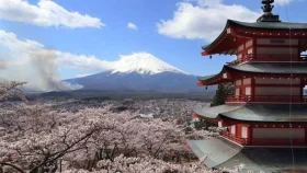 এবার হচ্ছে না জাপানের বিখ্যাত &lsquo;চেরি ব্লসম&rsquo; উৎসব