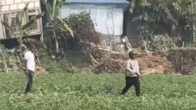 মুন্সীগঞ্জে নির্বাচনি প্রচারণায় সংঘর্ষে গুলিবিদ্ধ ২