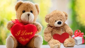 কেন উপহার দেওয়া হয় টেডি বিয়ার?