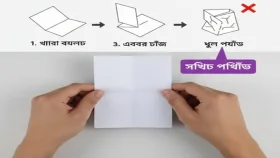 সঠিক পদ্ধতিতে ব্যালট পেপার ভাঁজ করবেন যেভাবে
