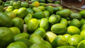 ইফতারে লেবুর বিকল্প কী হতে পারে?