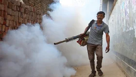 মশা মারতে কোটি কোটি টাকা ব্যয়, তবু কেন মরছে না মশা