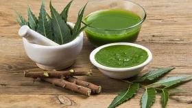 লিভার সুস্থ রাখতে নিম পাতার ব্যবহার