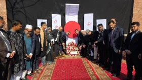 পাকিস্তানে আন্তর্জাতিক মাতৃভাষা দিবস পালিত&nbsp;