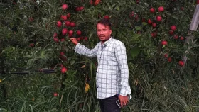 ইতালিতে সড়ক দুর্ঘটনায় বাংলাদেশি যুবক নিহত